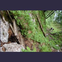2007-05_10Saletsteig_Sagereck-Steig (005).JPG
